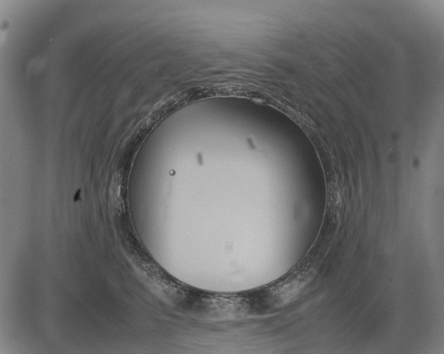 X0000083660615200703051753