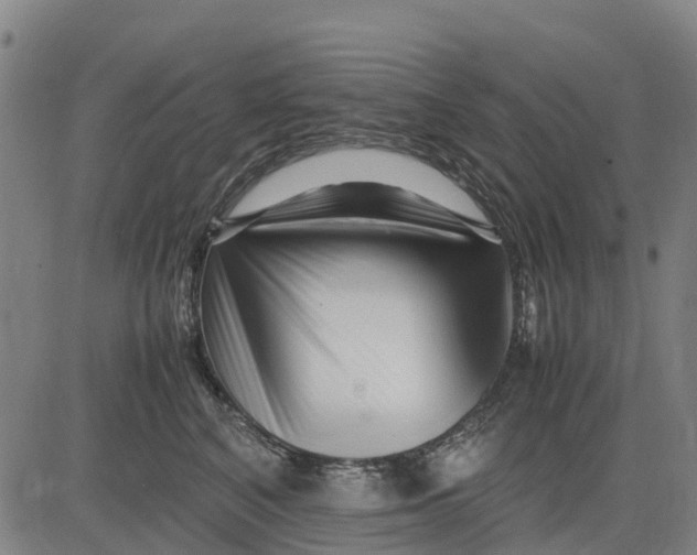 X0000083660616200703051753