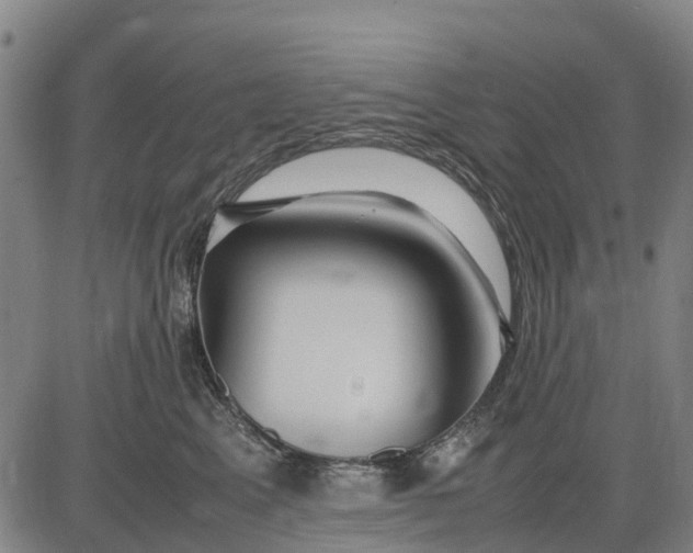 X0000083660617200703051753