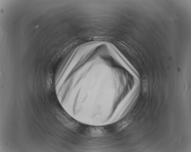 X0000083660618200703051753