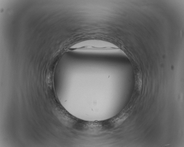 X0000083660619200703051753