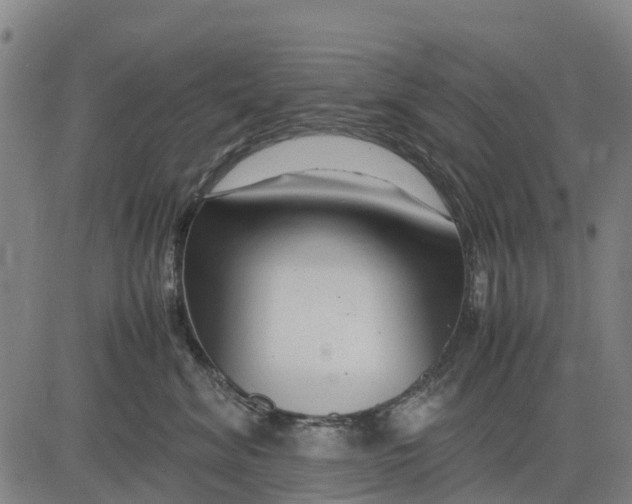 X0000083660620200703051753