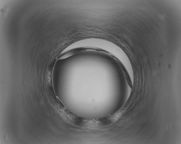 X0000083660621200703051753