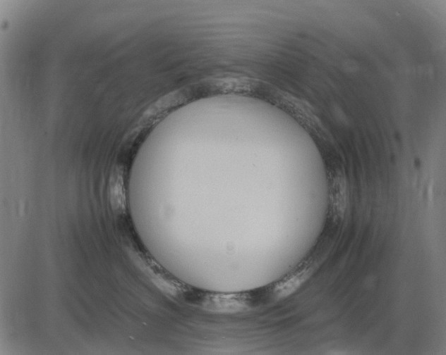 X0000083660622200703051753