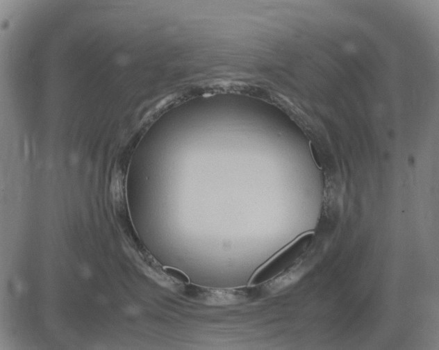 X0000083660623200703051753