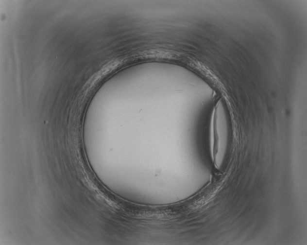 X0000083660625200703051752