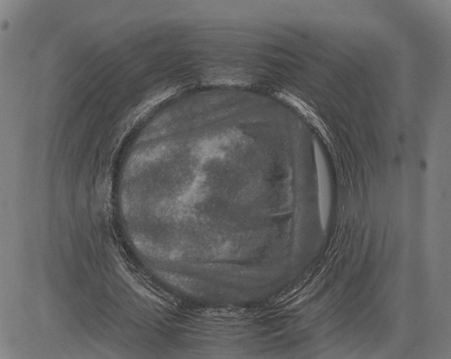 X0000083660627200703051752