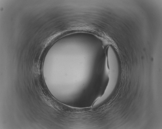 X0000083660628200703051752