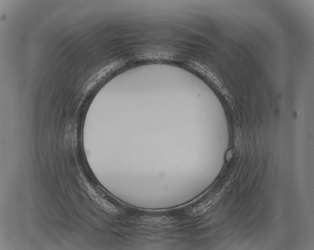 X0000083660629200703051752