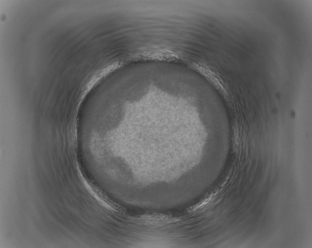 X0000083660630200703051753