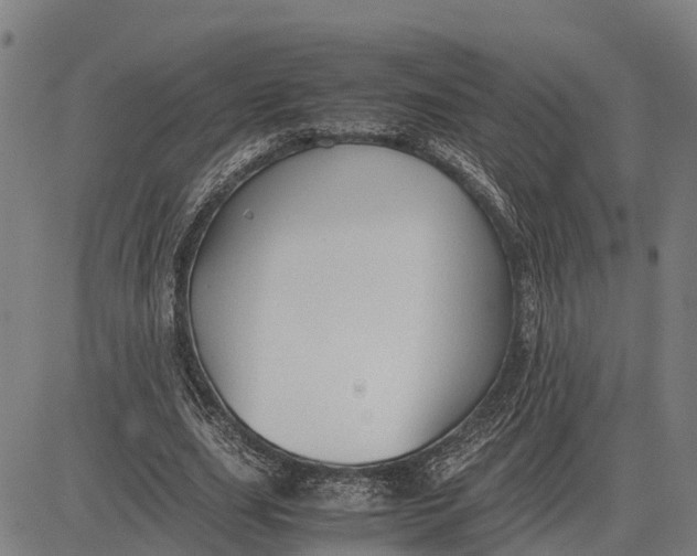 X0000083660631200703051753