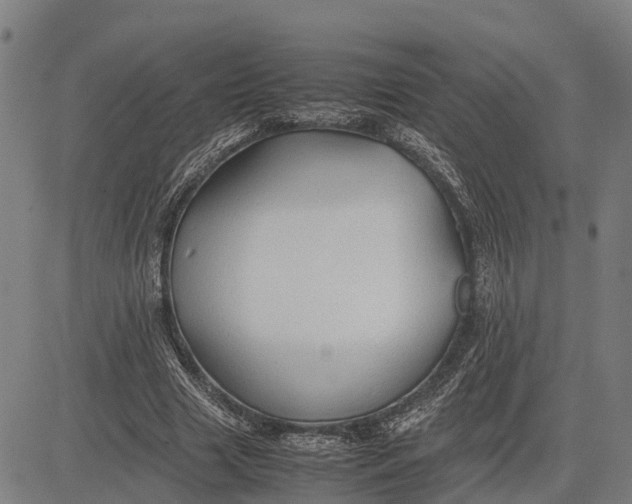 X0000083660633200703051753