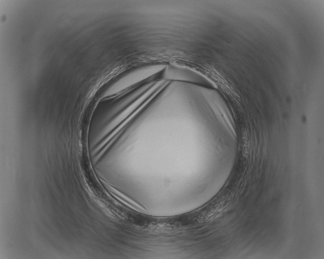 X0000083660634200703051753