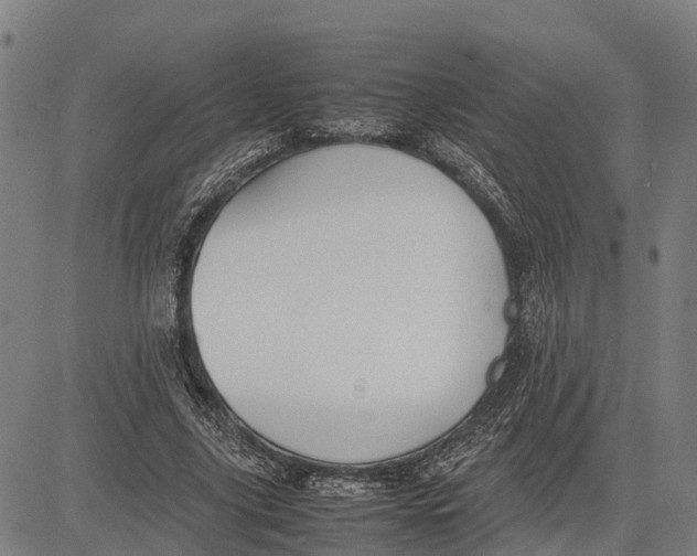 X0000083660635200703051753