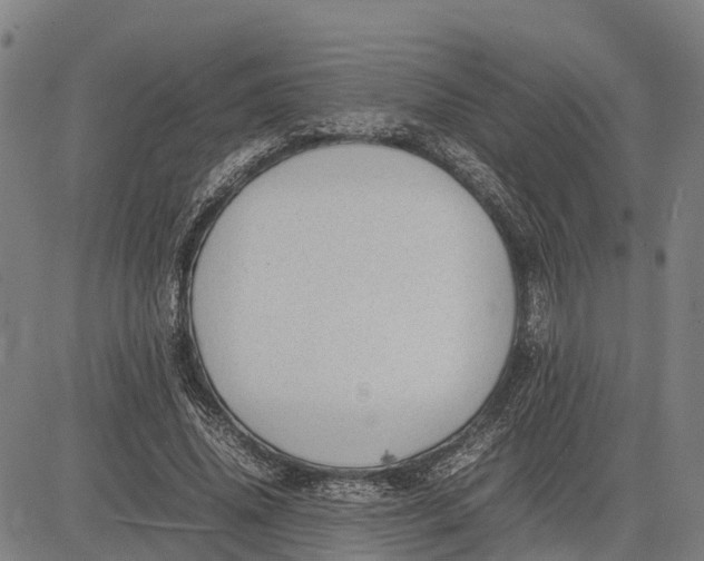 X0000083660636200703051753