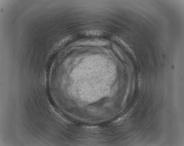 X0000083660637200703051753