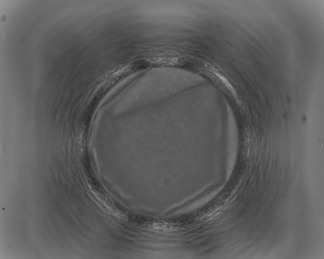 X0000083660641200703051753