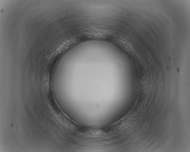 X0000083660642200703051753