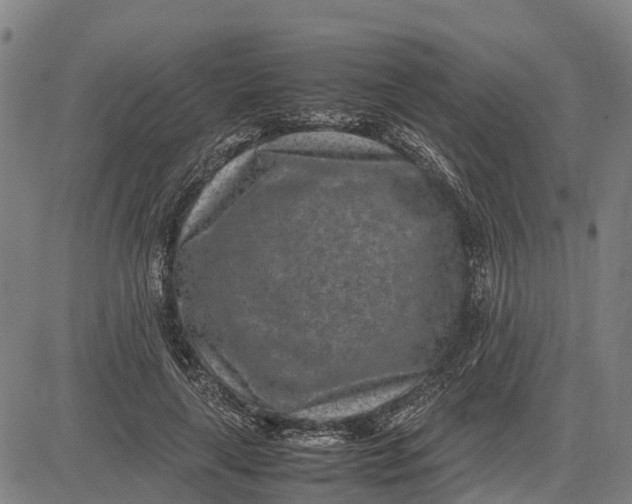 X0000083660643200703051753