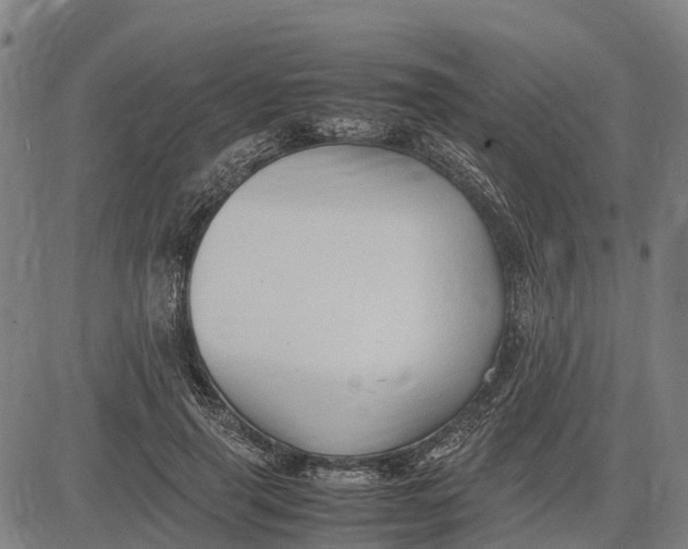 X0000083660645200703051753