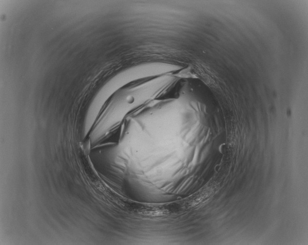 X0000083660646200703051753