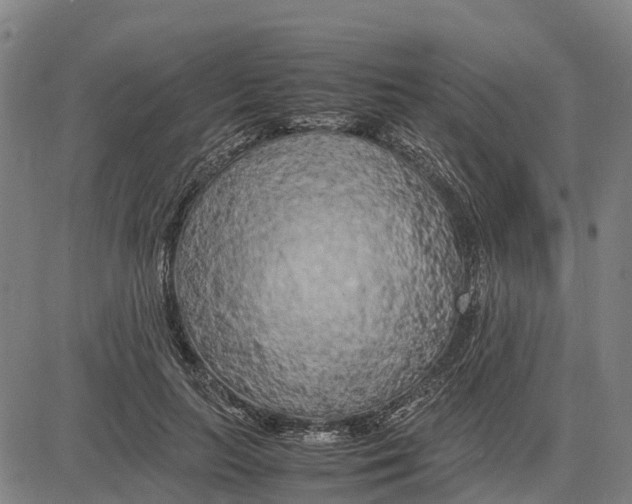 X0000083660647200703051753