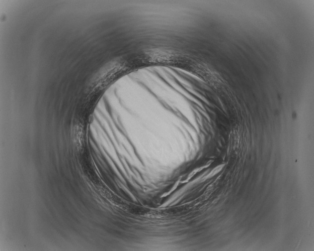 X0000083660648200703051753