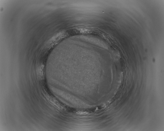 X0000083660650200703051753