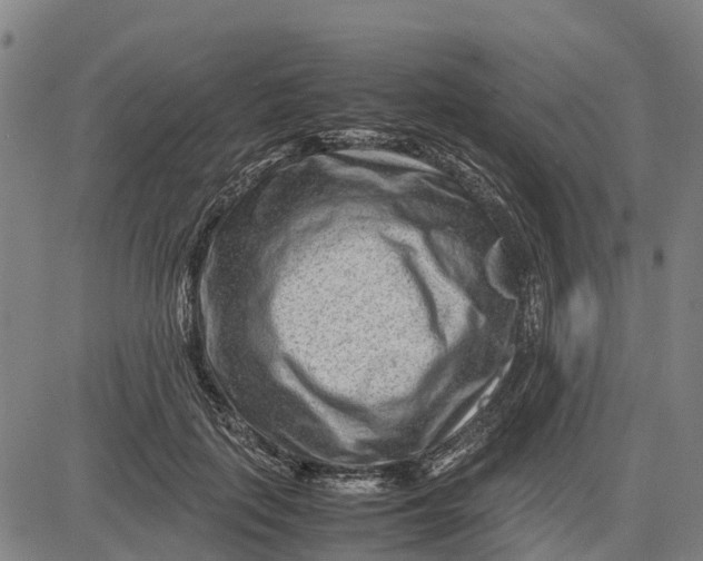 X0000083660651200703051753