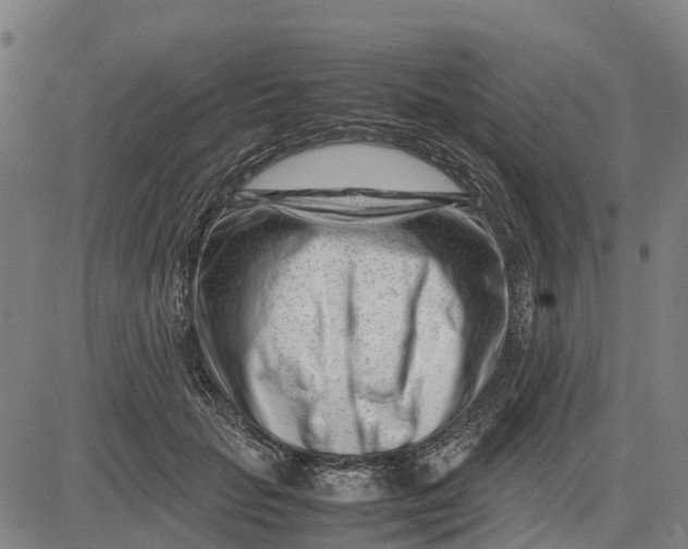 X0000083660653200703051753