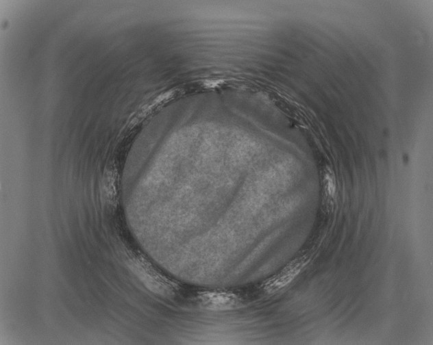 X0000083660654200703051753