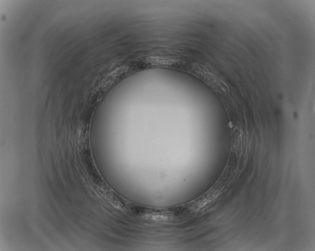 X0000083660655200703051753