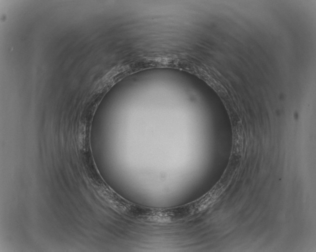 X0000083660656200703051753