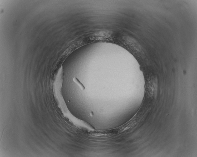 X0000083660657200703051753