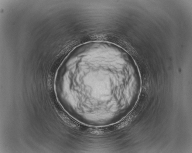 X0000083660658200703051753