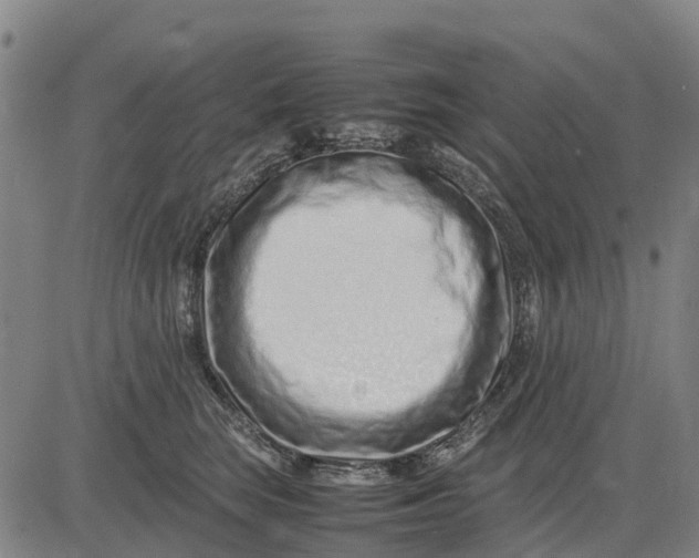 X0000083660663200703051753