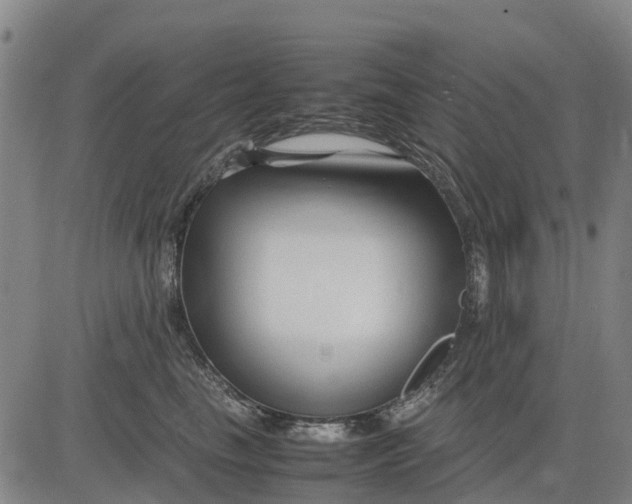 X0000083660665200703051753