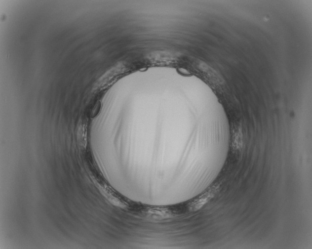 X0000083660666200703051753