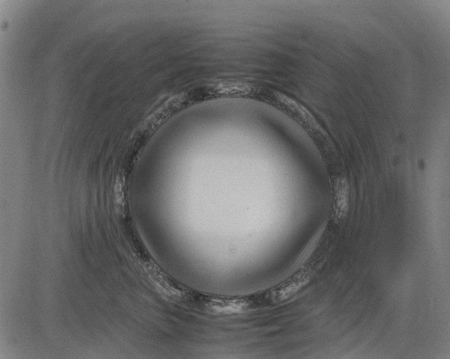 X0000083660667200703051753