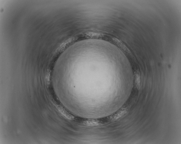 X0000083660668200703051753