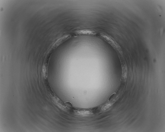 X0000083660669200703051753