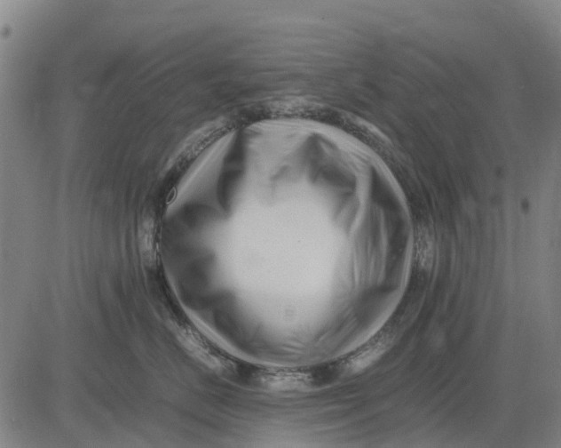 X0000083660670200703051753