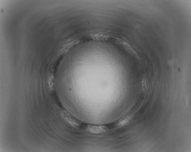 X0000083660671200703051753