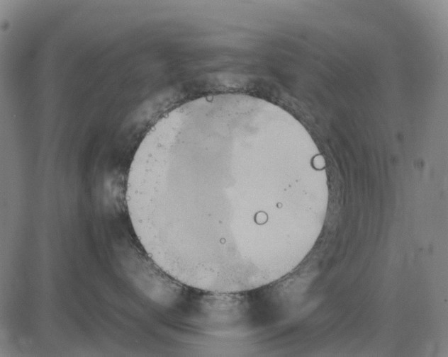 X0000083660672200703051753