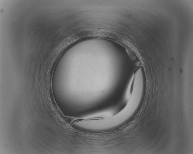 X0000083660673200703051752