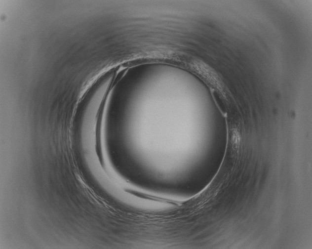 X0000083660676200703051752