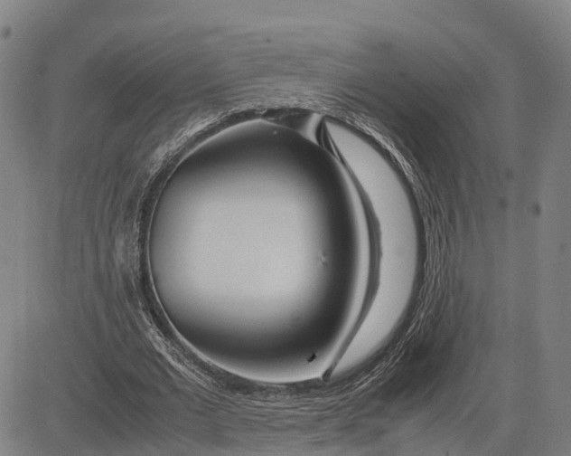 X0000083660677200703051752