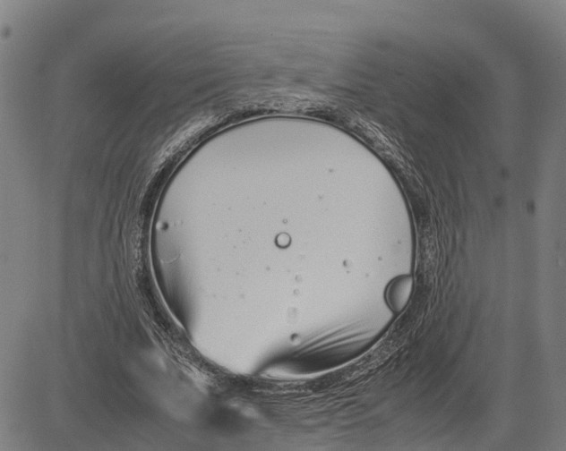 X0000083660679200703051752