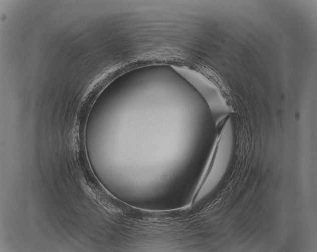 X0000083660680200703051752