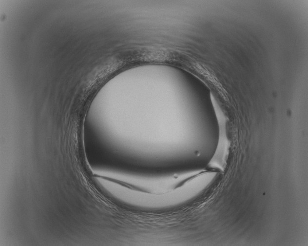 X0000083660681200703051752